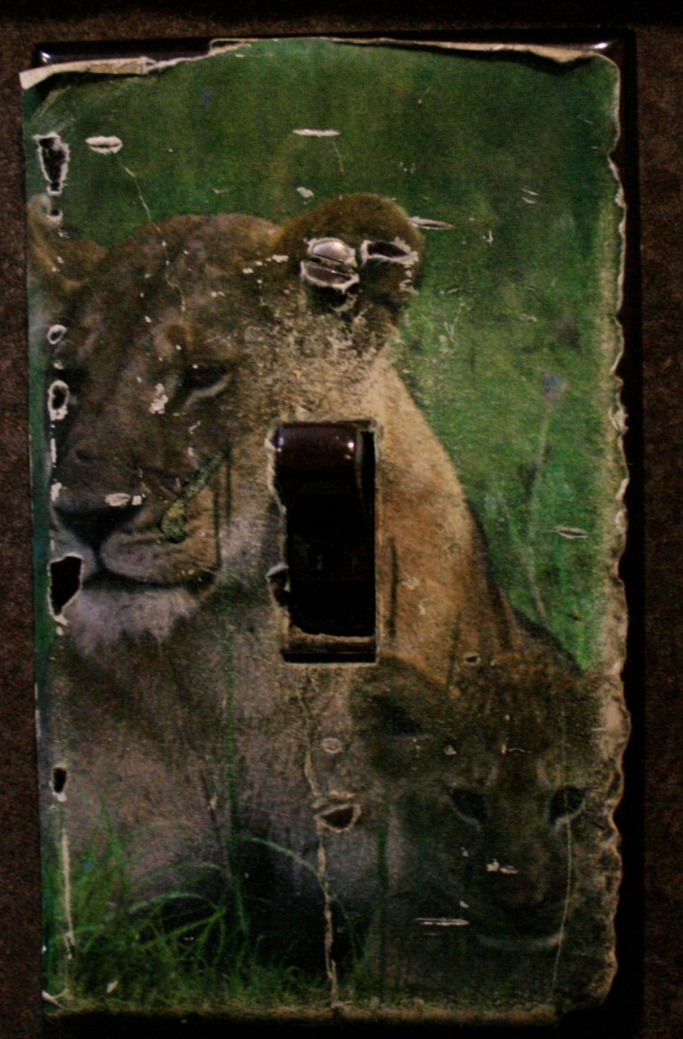 Roar Switch