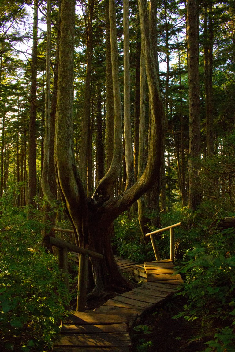 Olympic_Peninsula-188