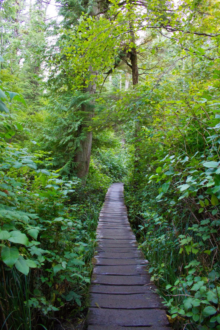 Olympic_Peninsula-177