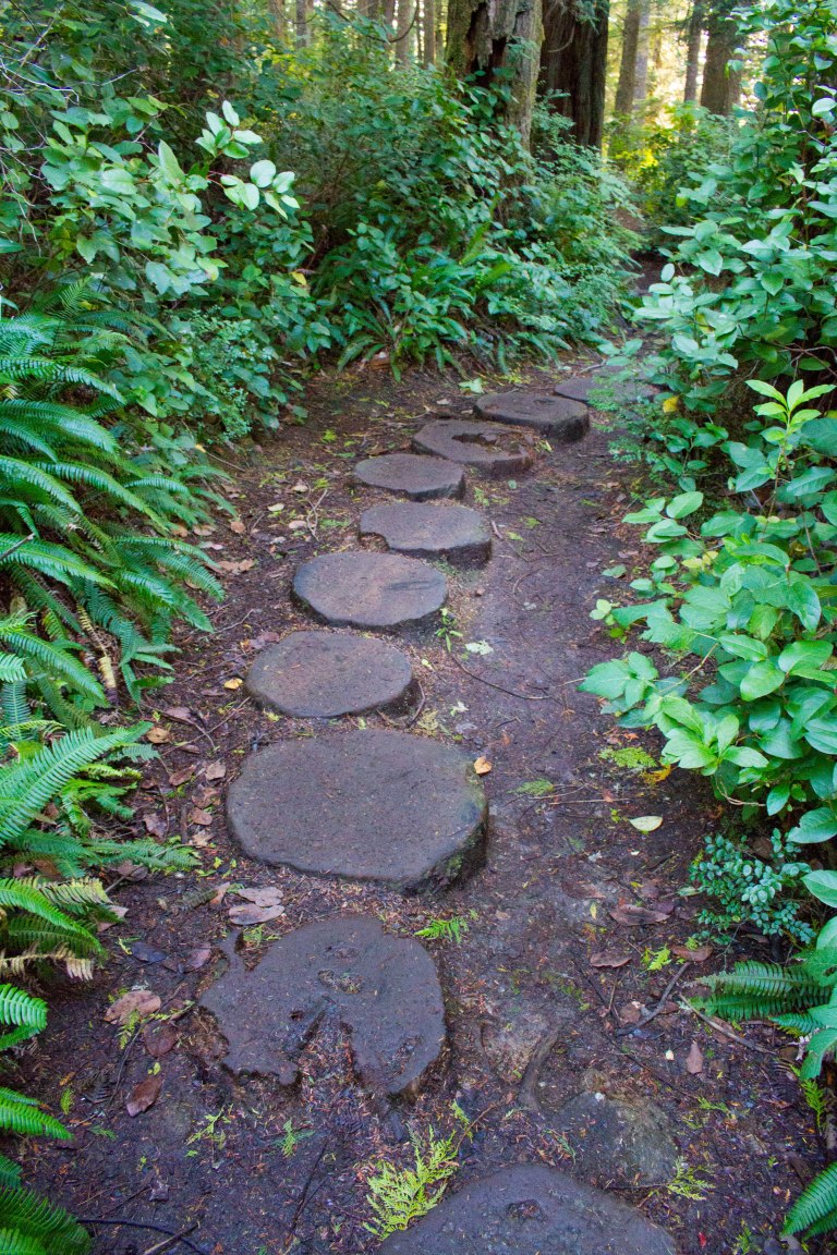 Olympic_Peninsula-179