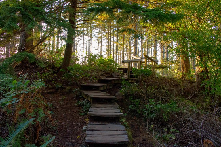 Olympic_Peninsula-205