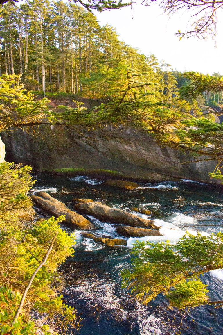 Olympic_Peninsula-237