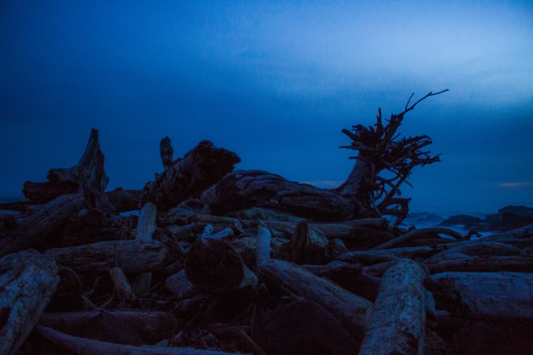 Waldport Beach Trip-190